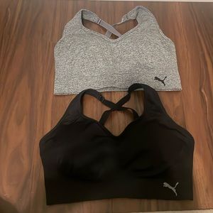 Puma Sports Bras